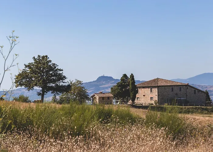 Masseria Del Bosco - Podere Palazzone Chianciano Terme