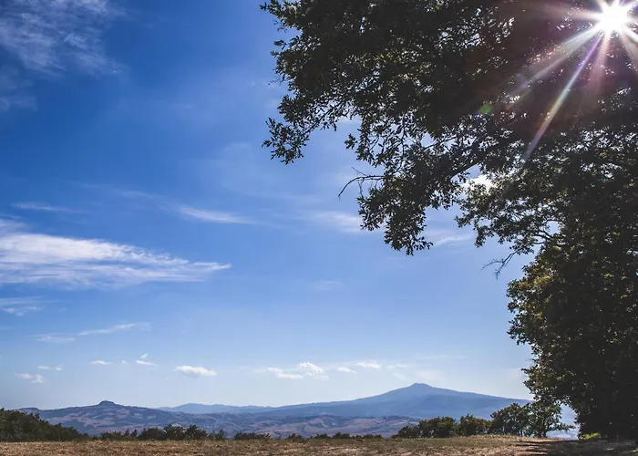 Appartamento Masseria Del Bosco - Podere Palazzone Chianciano Terme