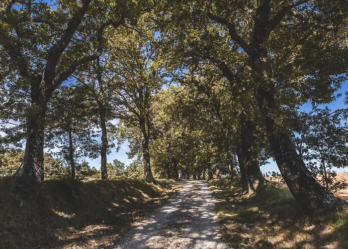 Appartamento Masseria Del Bosco - Podere Palazzone