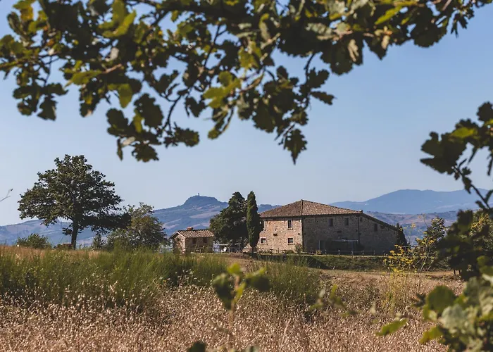 Masseria Del Bosco - Podere Palazzone Chianciano Terme