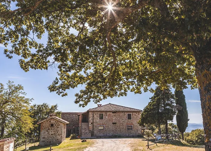 Appartamento Masseria Del Bosco - Podere Palazzone Chianciano Terme