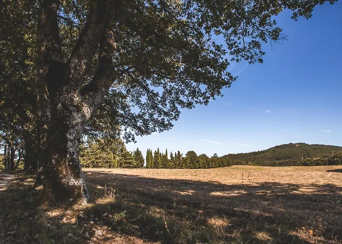 Appartamento Masseria Del Bosco - Podere Palazzone