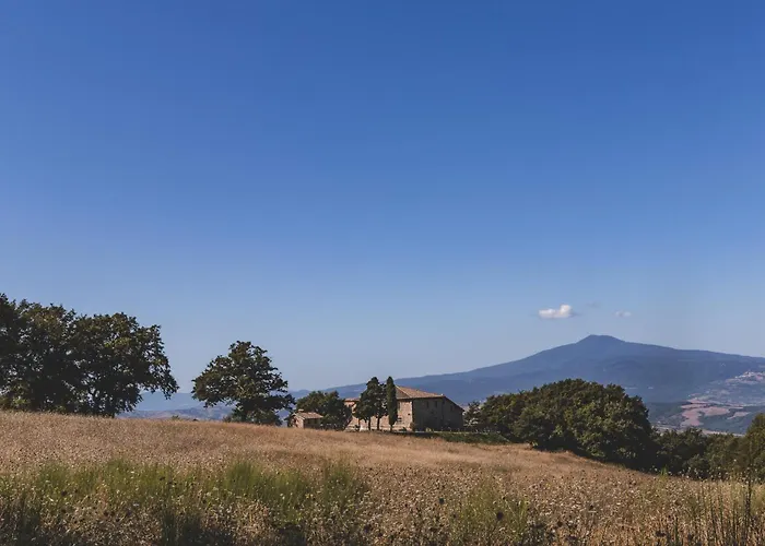 Masseria Del Bosco - Podere Palazzone Appartamento