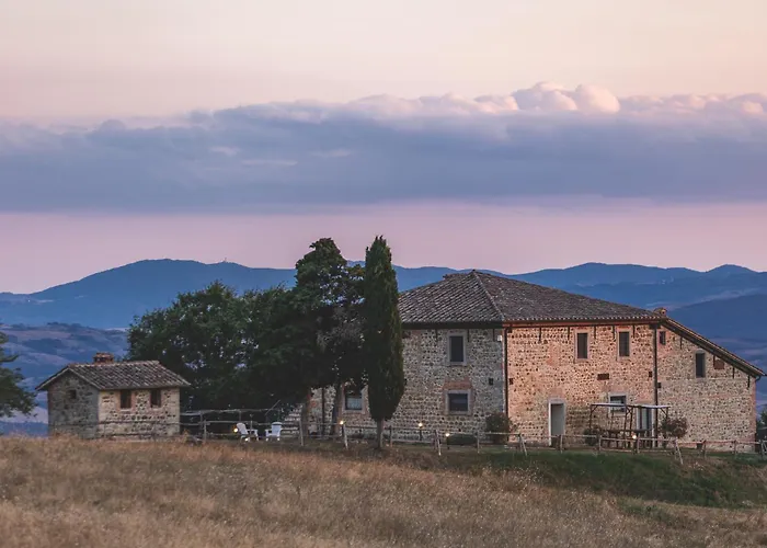 Masseria Del Bosco - Podere Palazzone
