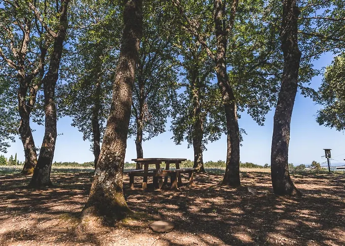 Masseria Del Bosco - Podere Palazzone Appartamento *