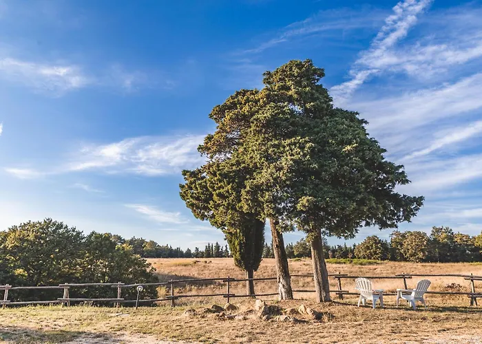 Appartamento Masseria Del Bosco - Podere Palazzone Chianciano Terme