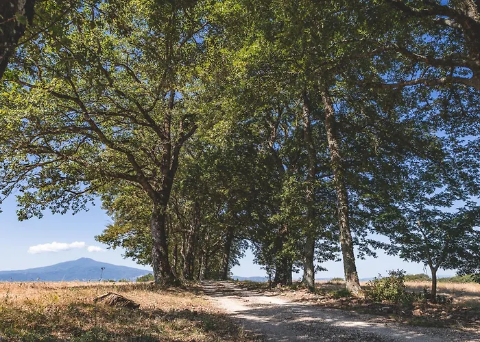 Appartamento Masseria Del Bosco - Podere Palazzone