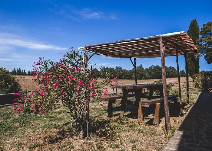 Masseria Del Bosco - Podere Palazzone