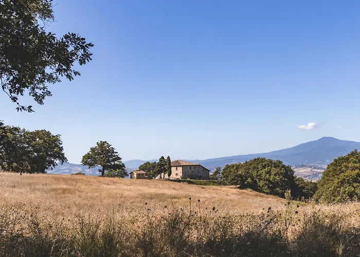 Appartamento Masseria Del Bosco - Podere Palazzone