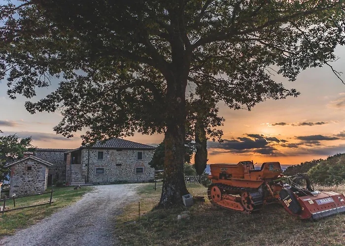 Appartamento Masseria Del Bosco - Podere Palazzone Chianciano Terme