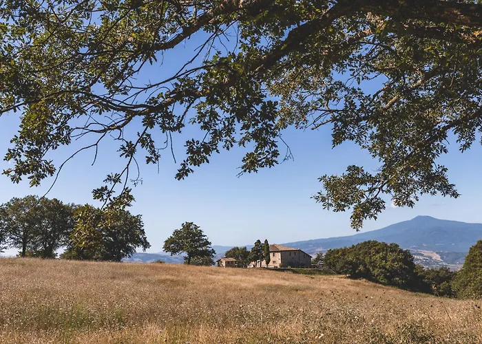 Appartamento Masseria Del Bosco - Podere Palazzone