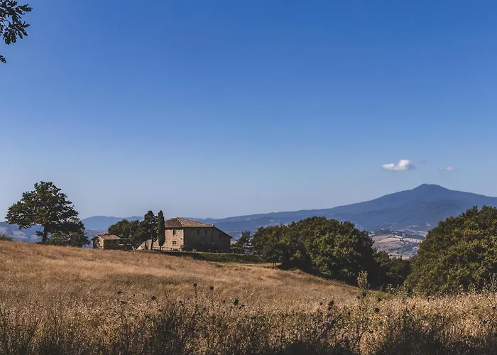 Masseria Del Bosco - Podere Palazzone Chianciano Terme