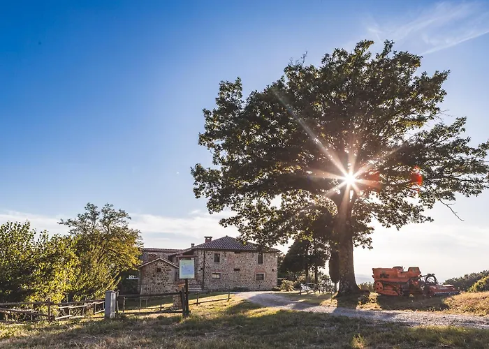 Masseria Del Bosco - Podere Palazzone *