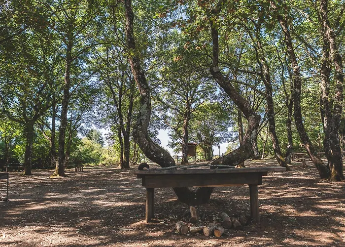 Masseria Del Bosco - Podere Palazzone Appartamento Chianciano Terme