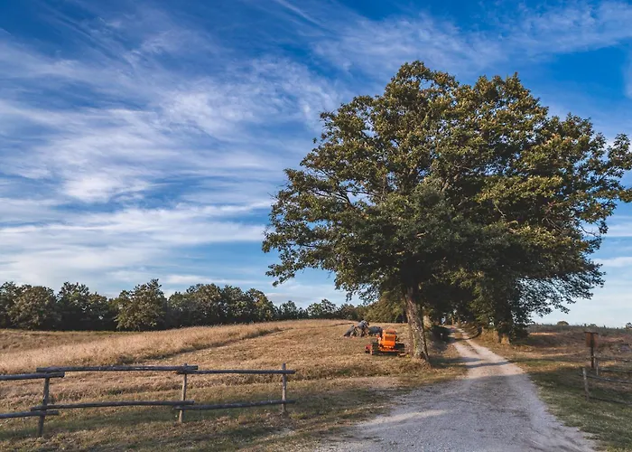 Appartamento Masseria Del Bosco - Podere Palazzone *