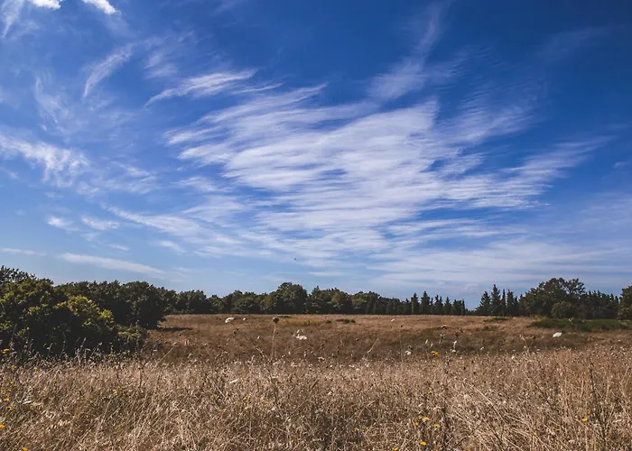 Masseria Del Bosco - Podere Palazzone