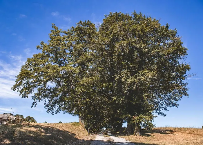 Masseria Del Bosco - Podere Palazzone Appartamento *