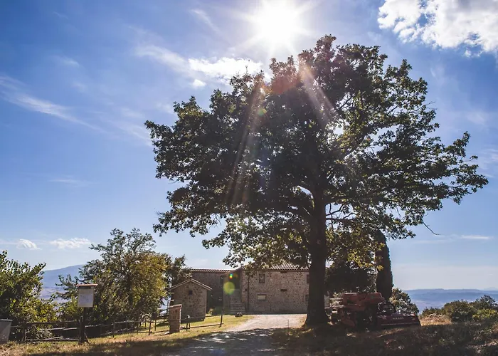 Appartamento Masseria Del Bosco - Podere Palazzone